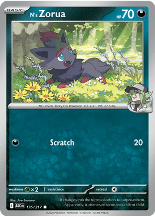 N's Zorua