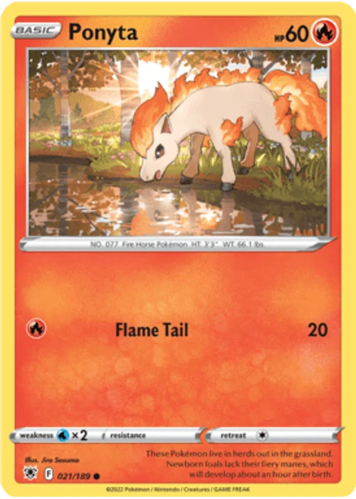 Ponyta