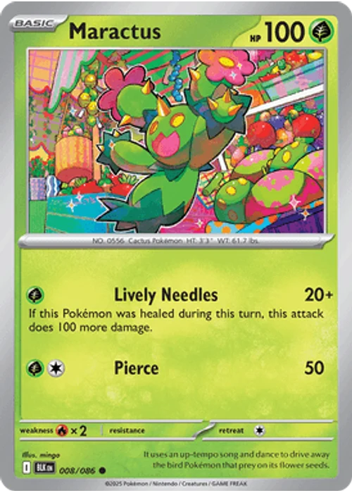 Maractus