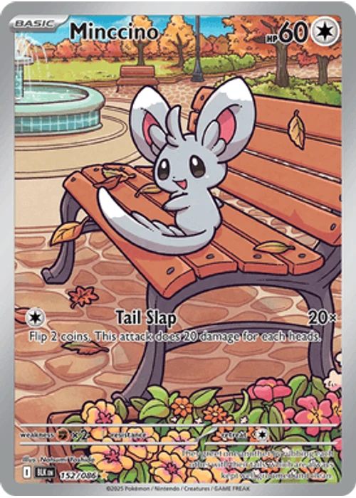 Minccino