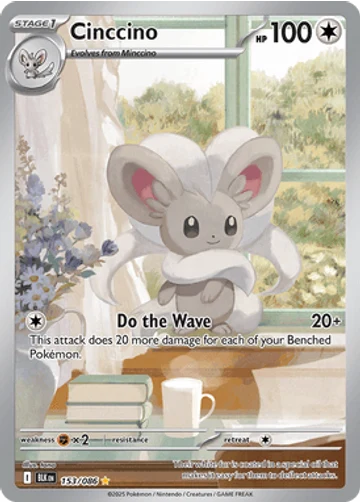 Cinccino