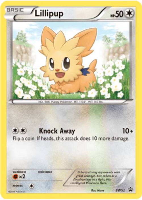 Lillipup
