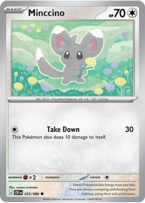 Minccino