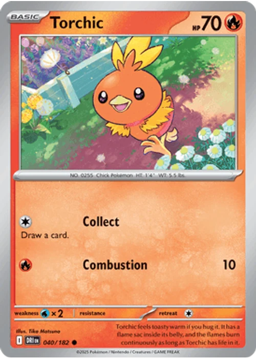 Torchic