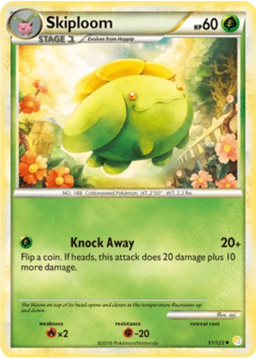 Skiploom