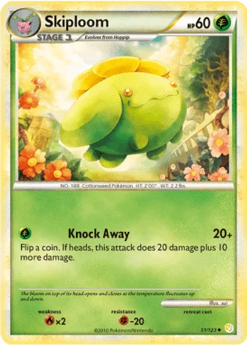 Skiploom