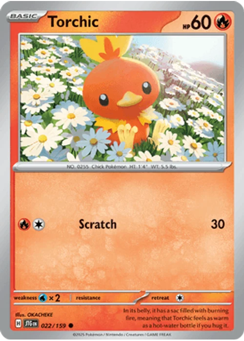 Torchic