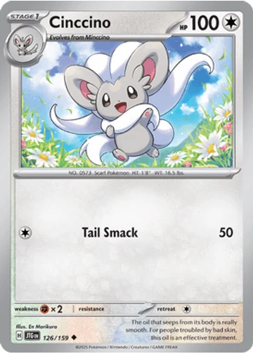 Cinccino