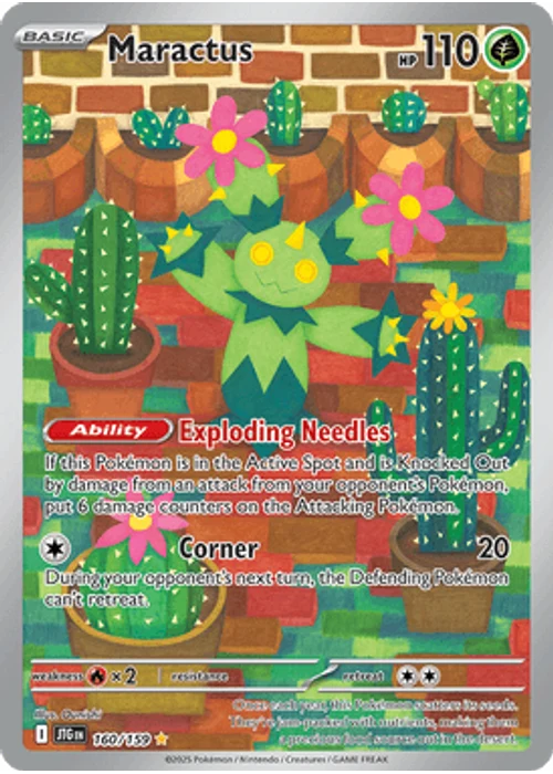 Maractus