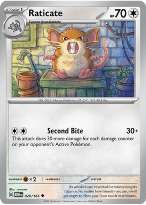 Raticate