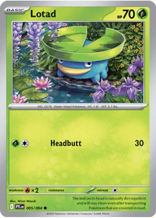Lotad