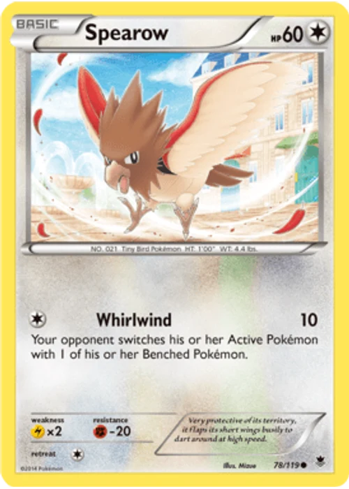 Spearow