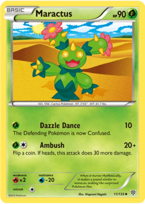 Maractus