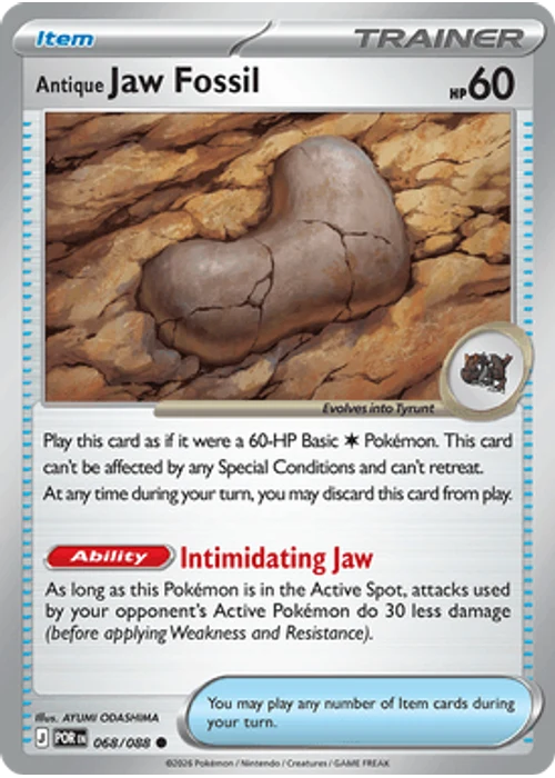 Antique Jaw Fossil
