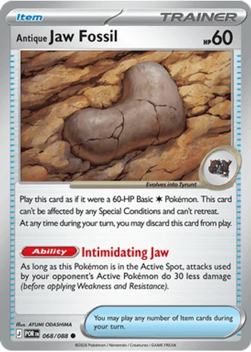 Antique Jaw Fossil