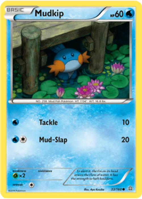 Mudkip