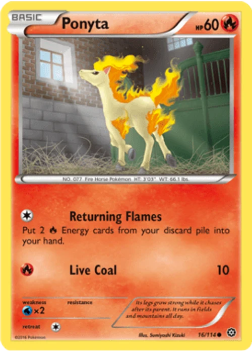Ponyta
