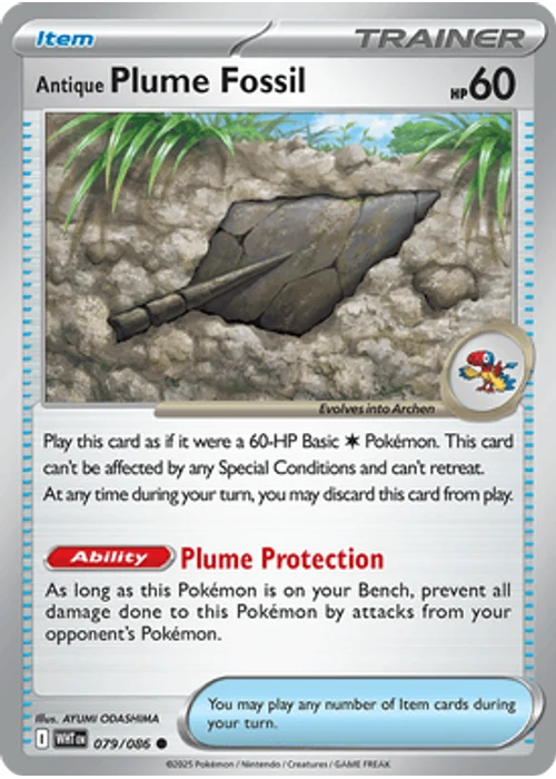 Antique Plume Fossil