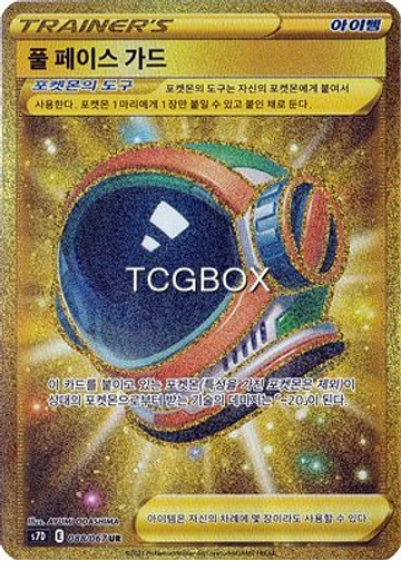 풀 페이스 가드